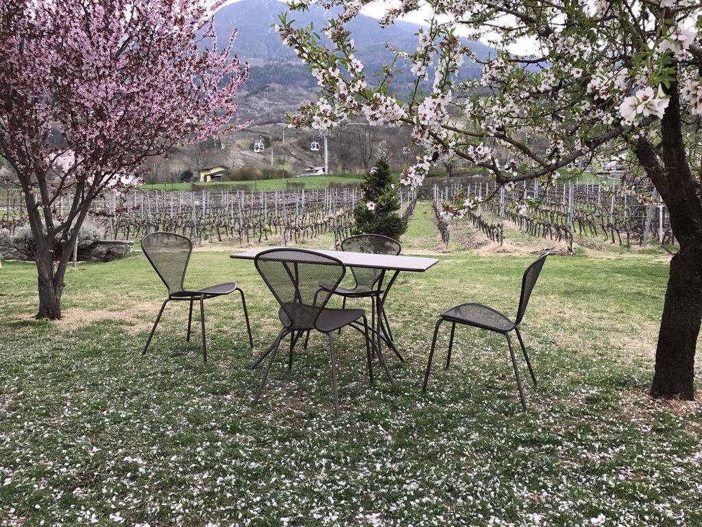 Chez Pepe Louis Lägenhet Aosta Exteriör bild